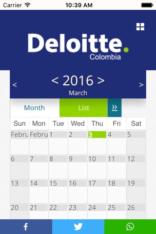 Deloitte CO screenshot 3