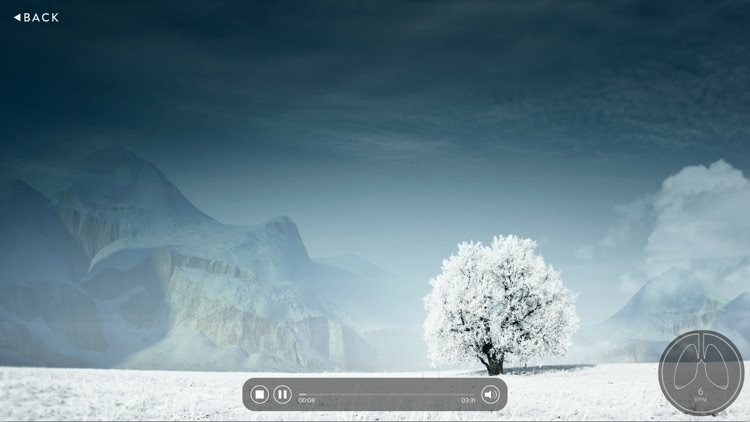 Mindfulness Meditation: Brain-based screenshot-3