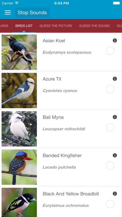 Asian Birds Sounds No Ads