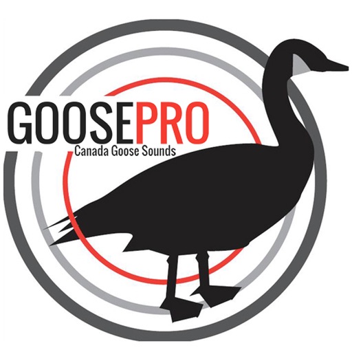 Goose Hunting Calls-Goose Sounds Goose Call App icon