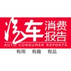 汽车消费报告
