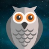 Night Owl Flight