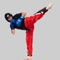 Learn many Kickboxing skills and drills with this fabulous collection of 240 Training Video Lessons