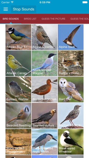 Spanish Birds Sounds(圖1)-速報App