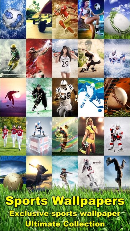 Sports Themes Wallpapers