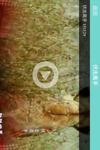 动物世界-海豚企鹅狮子老虎动物乐园,领略和谐大自然物语 screenshot 4