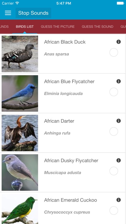 African Birds Sounds