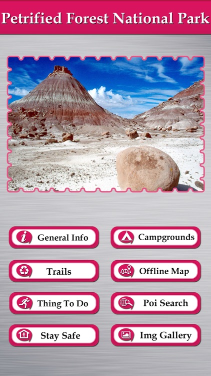 Petrified Forest National Park Guide