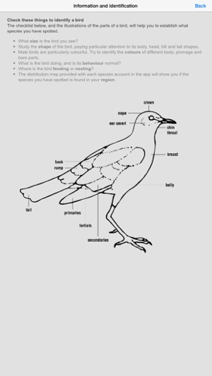 Sasol Common Birds for Beginners (Lite): Quick facts, photos(圖5)-速報App