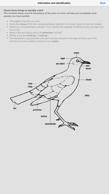 Sasol Common Birds for Beginners (Lite): Quick facts, photos and videos of 46 common southern African birds screenshot-4