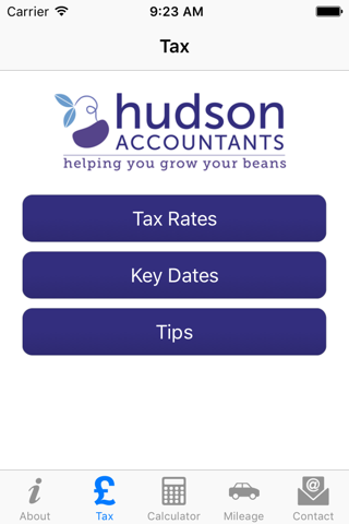 Hudson Accountants - náhled