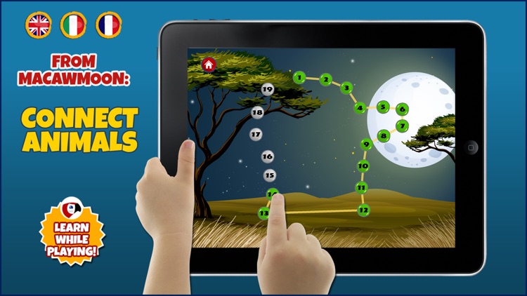 Discovery the animals - counting with interactive fauna zoo ocean wild - Macaw Moon