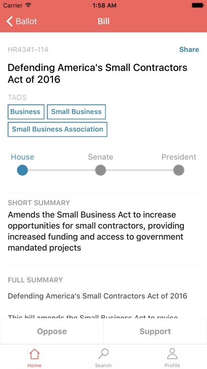 Ballot - Vote in Congress