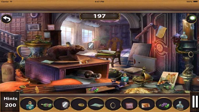 Village Adventure Hidden Objects