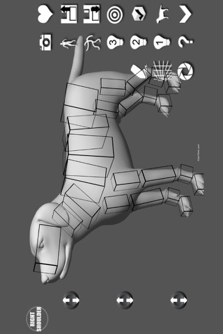 Labrador Pose Tool 3D screenshot 3