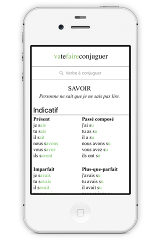 French Conjugation. screenshot 3