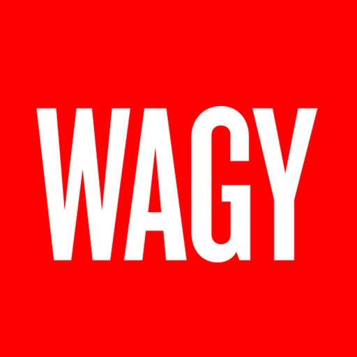 Wagy Burgers