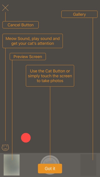 How to cancel & delete Selfie Cat from iphone & ipad 2