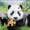 Animal Jigsaw - zoo Puzzle kids free games