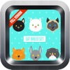 Learn English Via Cats Names Games for Kids