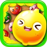 Garden Story Fruit Match Master