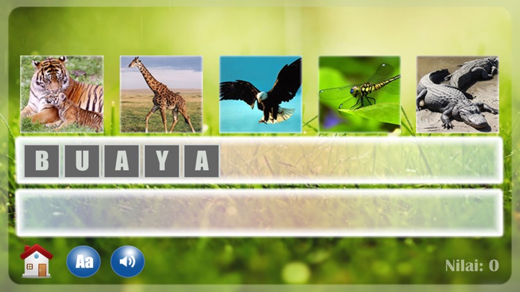 Belajar Membaca Binatang screenshot-4