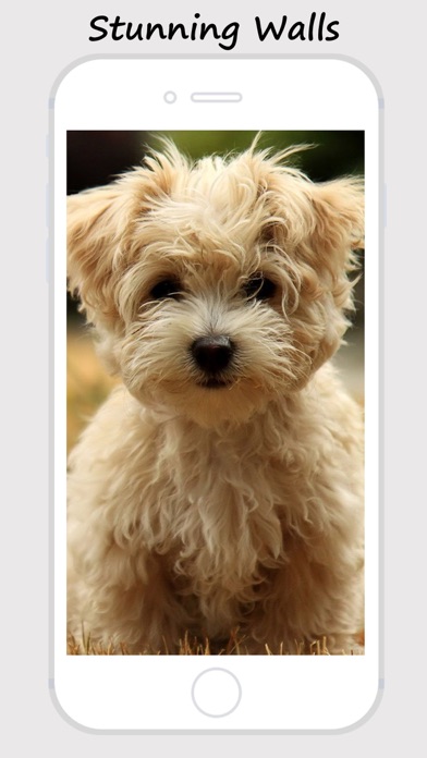 How to cancel & delete Baby Pet Wallpapers - Collections Of Baby Animals Pictures from iphone & ipad 3