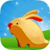 !!! Crazy Rabbit Run Escape Game Free