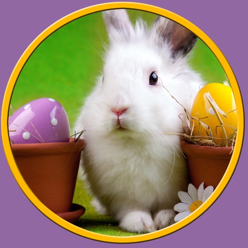 prodigious rabbits for kids - no ads icon