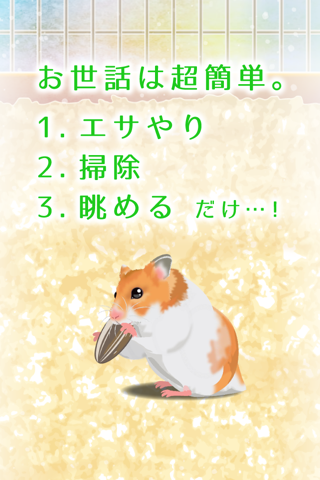 Hamster Pet screenshot 2