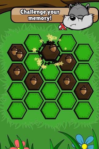 Mini Nuts: Memory Challenge screenshot 3