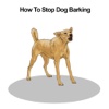 All about How To Stop Dog Barking