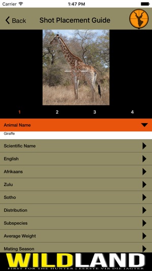 Africa Hunters(圖3)-速報App