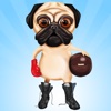 Fight Pug