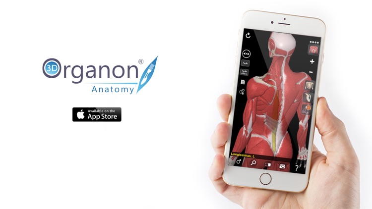 3D Organon Anatomy - Muscles, Skeleton, and Ligaments screenshot-3