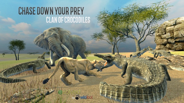 Clan of Crocodiles