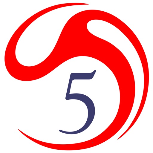 Futsal 5 icon