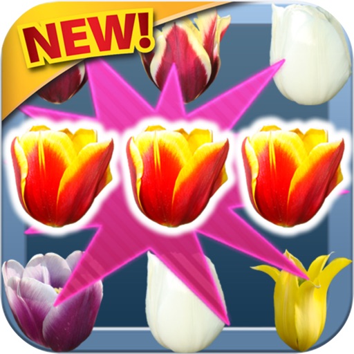 Blossom Flower Garden Mania Matching iOS App