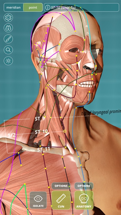 Visual Acupuncture screenshot-0