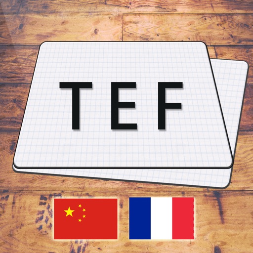 法语TEF icon