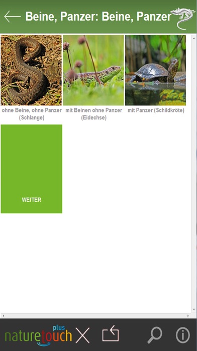 How to cancel & delete Schlangen, Eidechsen, Schildkröten bestimmen from iphone & ipad 2