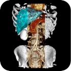 Top 30 Medical Apps Like VR Body Guide - Best Alternatives