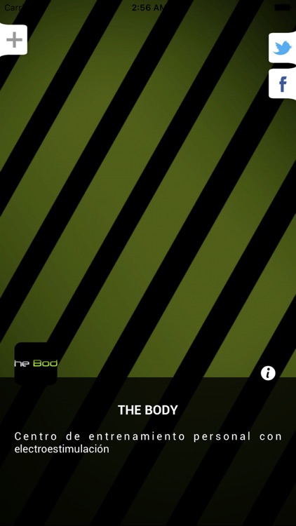 THE BODY