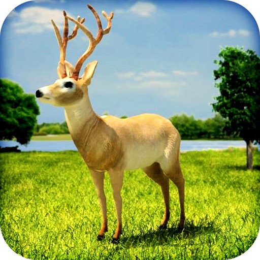 King Of Animals Hunt : Silent Sniper Hunter’s Challenge Pro Hunting games icon