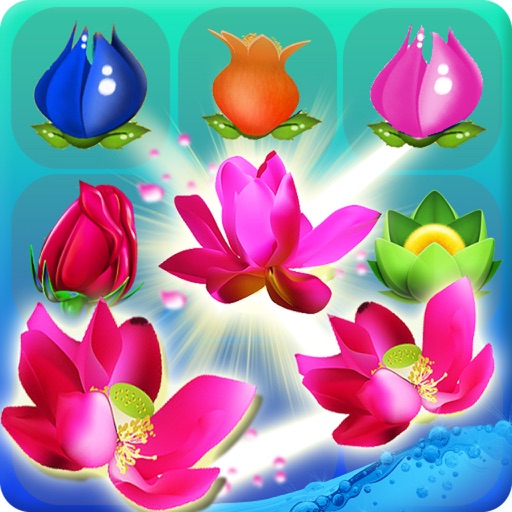 Bloom Flower Strike Mania iOS App