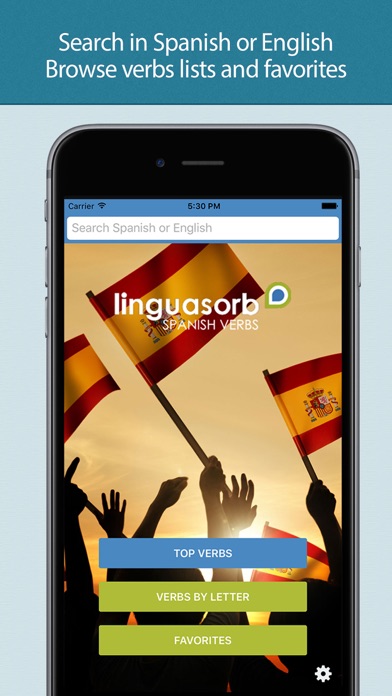 Spanish Verbs - LinguasorbScreenshot of 5