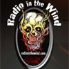 Radio In The Wind
