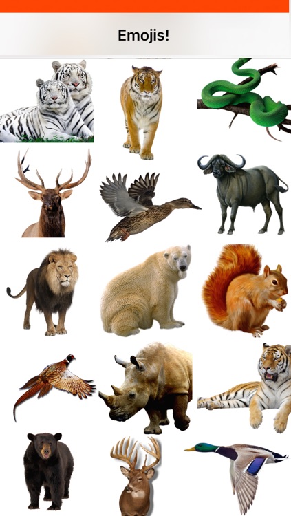 Hunting Emojis