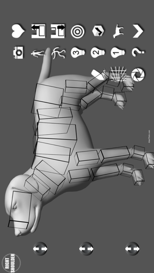 Labrador Pose Tool 3D(圖4)-速報App