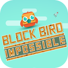 Activities of Blocky Bird Impossible